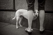 百度云